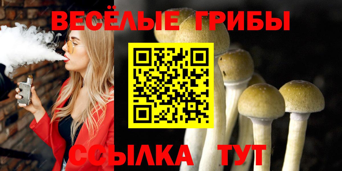Псилоцибиновые грибы Psilocybe Бахчисарай