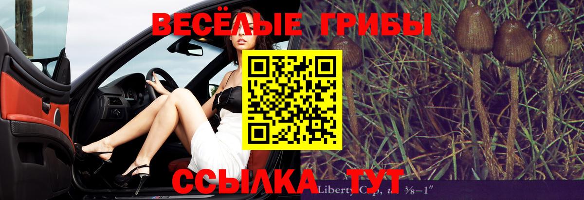 Галлюциногенные грибы GOLDEN TEACHER  Вход с VPN  Галлюциногенные грибы GOLDEN TEACHER  Бахчисарай 